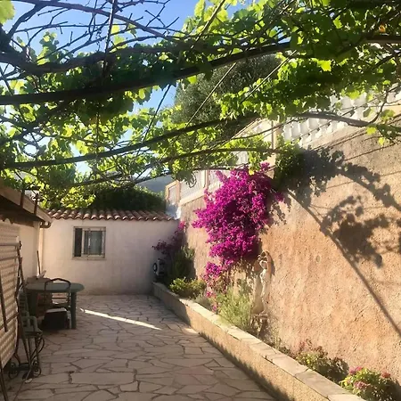L'ile Aux Anges Saint-André